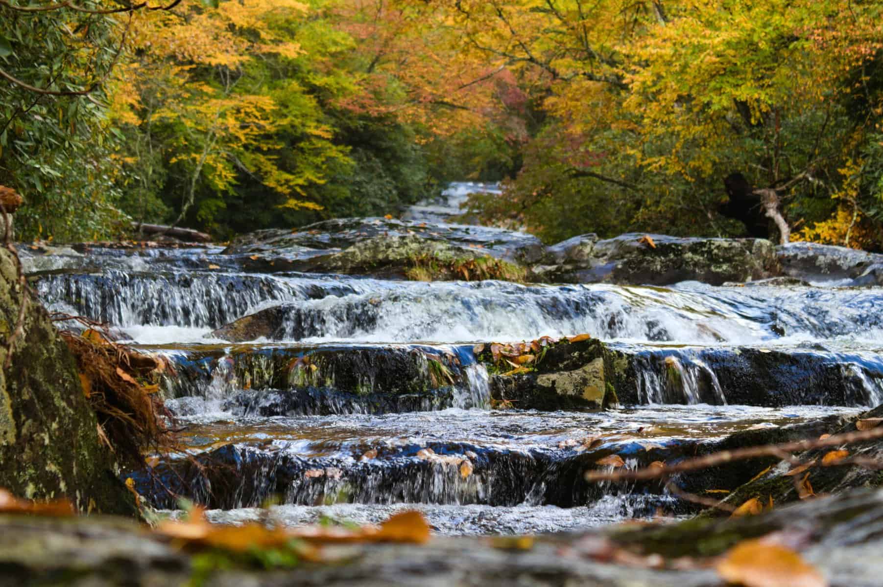 10 Cheap Places in America to Travel to in the Spring